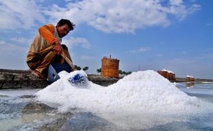 Pabrik Garam Berkualitas Lebih Baik Segera Dibangun di Jateng