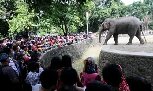 FOTO WISATA JAKARTA : Padatnya Ragunan saat Lebaran 2015