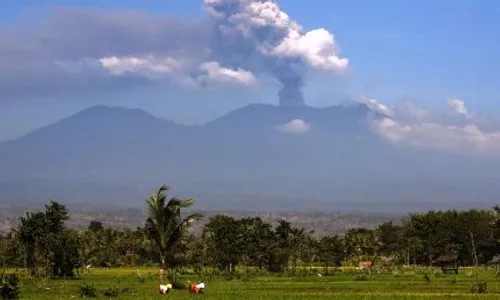 GUNUNG RAUNG MELETUS : Bau Belerang Menyengat di Songgon dan Pesanggrahan