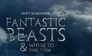 FILM TERBARU : JK Rowling: Fantastic Beasts Akan Dibuat Trilogi