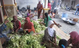 WISATA KLATEN : Hari Ini, 7.000 Ketupat Gratis bagi Pengunjung Rawa Jombor