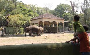 WISATA JOGJA : GL Zoo Targetkan 150.000 Pengunjung