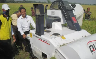 PERTANIAN NASIONAL : La Nina Mengadang, Stok Beras Dipastikan Aman