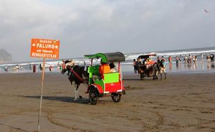 WISATA LEBARAN 2015 : Hati-hati! Bibir Pantai Parangtritis Miliki Palung