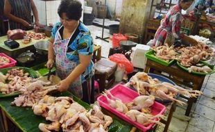 HARGA KEBUTUHAN POKOK : Harga Daging Ayam Potong di Madiun Melonjak