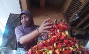 HARGA KEBUTUHAN POKOK : Pasokan Minim, Harga Cabai Melonjak