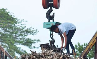 FOTO INDUSTRI PERGULAAN : Kebutuhan Gula Nasional Capai 5,7 Juta Ton