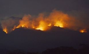 KEBAKARAN LAWU : 5 Pendaki Gunung Lawu Tewas Terbakar