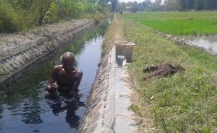 FOTO KEMARAU 2015 : Irigasi Hitam Pekat, Warga Nekat Mandi