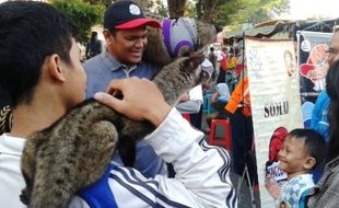    KOMUNITAS MADIUN : Perburuan Musang Kian Marak, Musang Lovers Madiun Gencarkan Sosialisasi