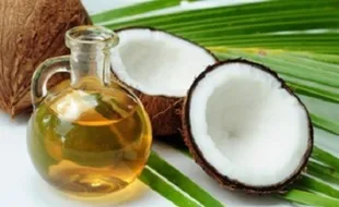 TIPS KECANTIKAN : Begini Cara Gunakan Minyak Kelapa untuk Kecantikan