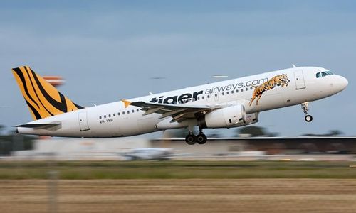 7 Alasan Terbang dengan Tigerair Jadi Andalan Budget Traveler