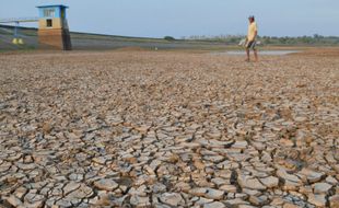 FOTO KEMARAU 2015 : Begini Kekeringan di Kabupaten Madiun