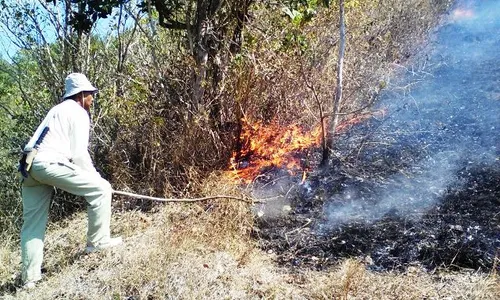 KEBAKARAN WONOGIRI : 10 Ha Hutan Giriwoyo Wonogiri Terbakar