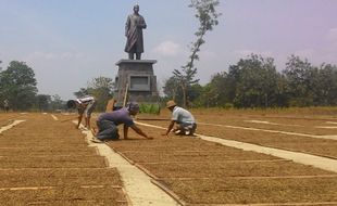 PROYEK INFRASTRUKTUR BOYOLALI : Kawasan Patung Sudirman Jadi Arena Jemur Tembakau