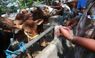 HARGA HEWAN KURBAN : Harga Sapi di Jogja Naik 10%