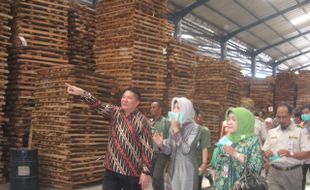 INDUSTRI WONOGIRI : Kabupaten Wonogiri Jadi Percontohan Barecore Kayu Indonesia