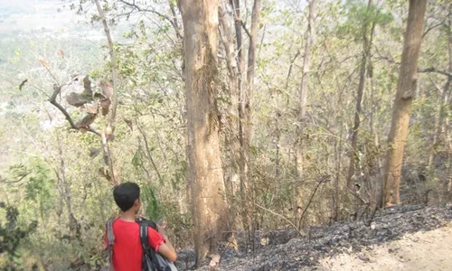 KEBAKARAN KLATEN : 3 Ha Lahan Bukit Jabalakat Terbakar