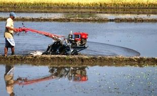 FOTO KEMARAU 2015 : Petani Kediri Masih Bisa Bajak Sawah