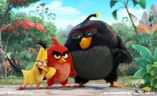 FILM TERBARU : Kocak, Trailer Film Angry Bird Meluncur