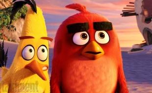 FILM BARU : Kenapa Burung Angry Bird Mudah Marah? Terjawab di Filmnya!