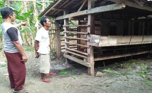 PENCURIAN KULONPROGO : 2 Kambing Kurban Digondol Maling