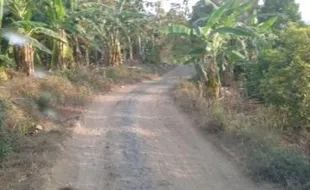 Jadi Desa Tangap Bencana Terbaik Se-Jatim, Begini Profil Desa Durenan Madiun