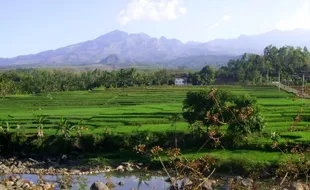 BENCANA JATIM : Ini Daerah Rawan Longsor di Lereng Gunung Wilis