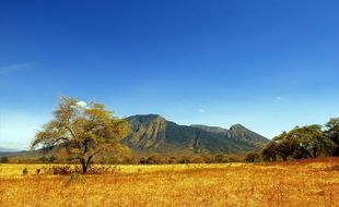 Pengumuman! Afrika van Java TN Baluran Ditutup Sementara Sebulan