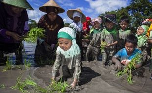 KEGIATAN SEKOLAH : Serunya Anak Merapi Mengikuti Sekolah Sawah