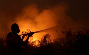 KEBAKARAN HUTAN : Tersangka Pembakar Hutan Capai 107 Orang