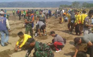 HUT TNI : Kodim 0801 Pacitan Gandeng Polisi dan Warga Tanam Bakau di Pantai Pancer Etan