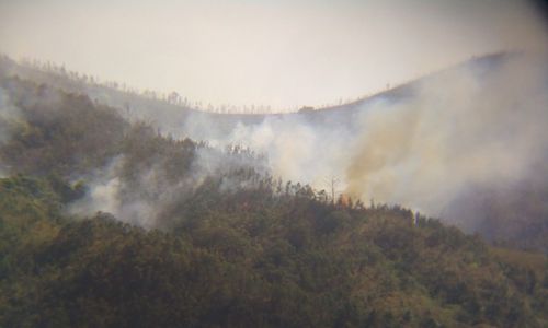 KABUT ASAP : Kebakaran Hutan Menggila Lagi, Istana Gelar Rapat Terbatas