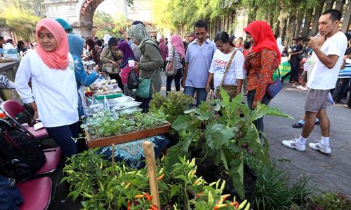 HARI PANGAN SEDUNIA : Virus Pertanian Organik Mulai Mewabah di Solo