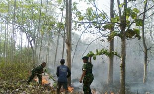 KEBAKARAN WONOGIRI : 12,5 Ha Lahan Alas Kethu Terbakar, Ini Penyebabnya