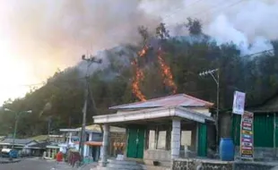 KEBAKARAN LAWU : Member Ngawi Bergerak Sarankan PDAM Hijaukan Lawu