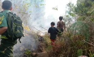 KABUT ASAP : Kebakaran Hutan Bergantian, Siti Nurbaya Minta Bantuan Kepala BIN