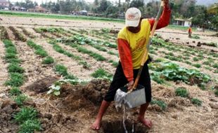 FOTO KEMARAU 2015 : 1 Kecamatan Trenggalek Tak Kekeringan