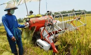 FOTO PERTANIAN JATIM : Begini Mekanisasi Pertanian di Madiun…