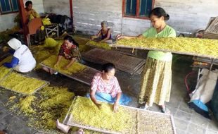 TEMBAKAU BOJONEGORO : Pabrik Rokok Borong 7.467 Ton Tembakau Kering dari Bojonegoro