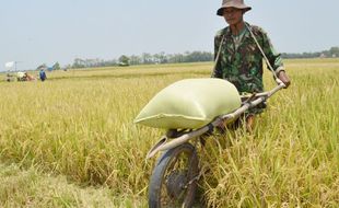 PENYERAPAN BERAS : Kodim Madiun Bujuk Petani Jual Beras ke Bulog