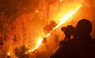 FOTO KEBAKARAN WILIS : Hutan di Gunung Wilis Terbakar...