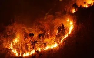 KEBAKARAN HUTAN : Kebakaran Terus Meluas, Jalur-Jalur Pendakian Diminta Tutup Sementara