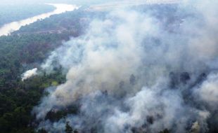 KABUT ASAP : 1 Juta Ha Lahan Sawit Diduga Ilegal