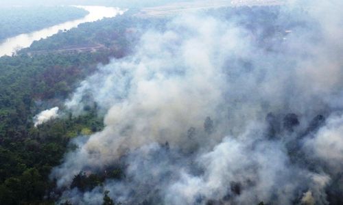 KABUT ASAP : Pemerintah Pertimbangkan Status Darurat Bencana Nasional