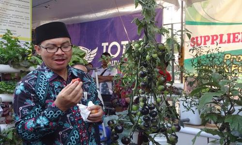 PAMERAN KULONPROGO : Ratusan Stan Ramaikan Kulonprogo Expo 2105