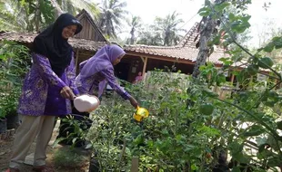 WISATA KULONPROGO : Mempertahankan Taman Herbal di Wilayah Kekeringan