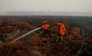 KABUT ASAP : Lahan Terbakar Setara 32 Kali Luas DKI Jakarta