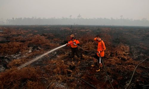 KABUT ASAP : JK Sebut Pemerintah Lakukan 3 Kesalahan Fatal