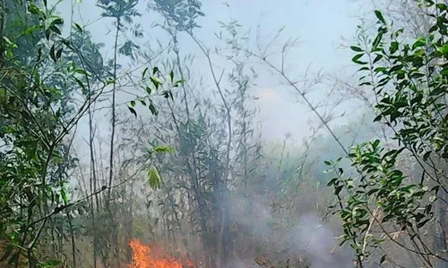 KISAH TRAGIS : Bakar Sampah Sambil Ngesot, Nenek 87 Tahun Tewas Terjebak Api